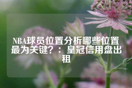 NBA球员位置分析哪些位置最为关键？：皇冠信用盘出租-第1张图片-皇冠信用盘出租