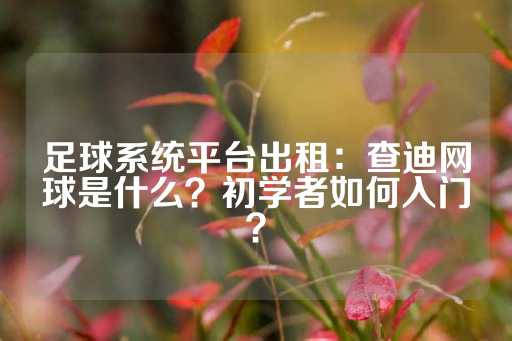 足球系统平台出租：查迪网球是什么？初学者如何入门？