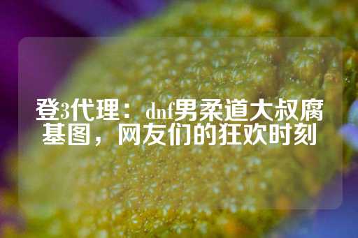 登3代理：dnf男柔道大叔腐基图，网友们的狂欢时刻