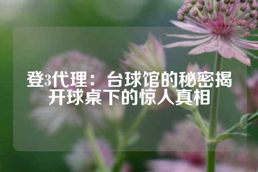 登3代理：台球馆的秘密揭开球桌下的惊人真相