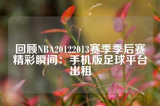 回顾NBA20122013赛季季后赛精彩瞬间：手机版足球平台出租