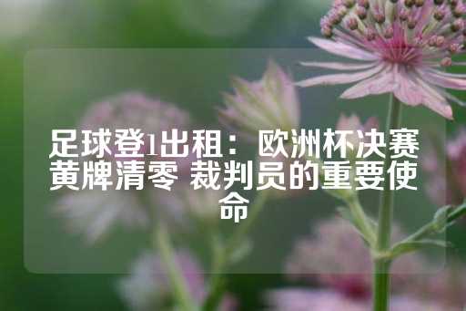 足球登1出租：欧洲杯决赛黄牌清零 裁判员的重要使命