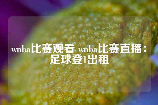 wnba比赛观看 wnba比赛直播：足球登1出租-第1张图片-皇冠信用盘出租