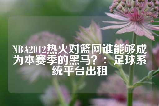 NBA2012热火对篮网谁能够成为本赛季的黑马？：足球系统平台出租