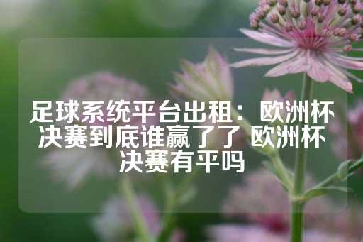 足球系统平台出租：欧洲杯决赛到底谁赢了了 欧洲杯决赛有平吗