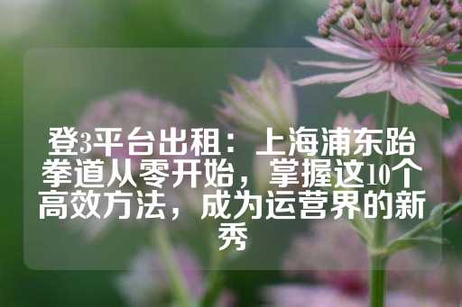 登3平台出租：上海浦东跆拳道从零开始，掌握这10个高效方法，成为运营界的新秀