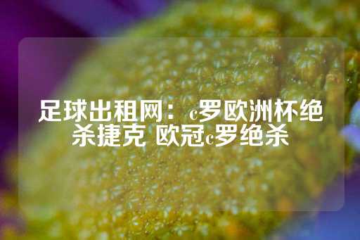 足球出租网：c罗欧洲杯绝杀捷克 欧冠c罗绝杀