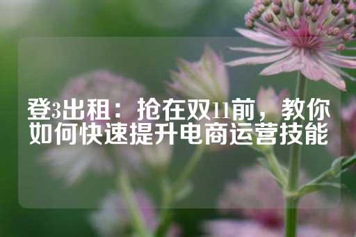 登3出租：抢在双11前，教你如何快速提升电商运营技能-第1张图片-皇冠信用盘出租