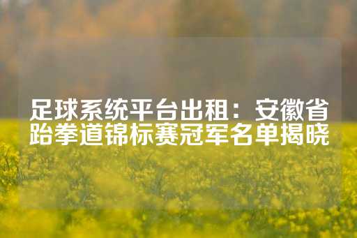 足球系统平台出租：安徽省跆拳道锦标赛冠军名单揭晓