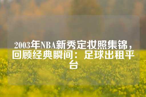 2003年NBA新秀定妆照集锦，回顾经典瞬间：足球出租平台-第1张图片-皇冠信用盘出租