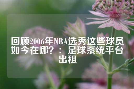 回顾2006年NBA选秀这些球员如今在哪？：足球系统平台出租-第1张图片-皇冠信用盘出租