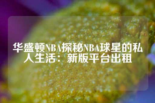 华盛顿NBA探秘NBA球星的私人生活：新版平台出租