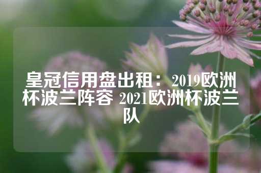 皇冠信用盘出租：2019欧洲杯波兰阵容 2021欧洲杯波兰队-第1张图片-皇冠信用盘出租