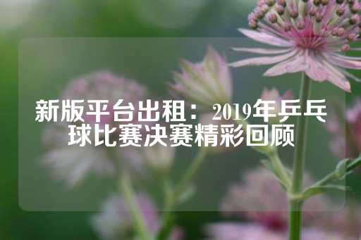 新版平台出租：2019年乒乓球比赛决赛精彩回顾-第1张图片-皇冠信用盘出租