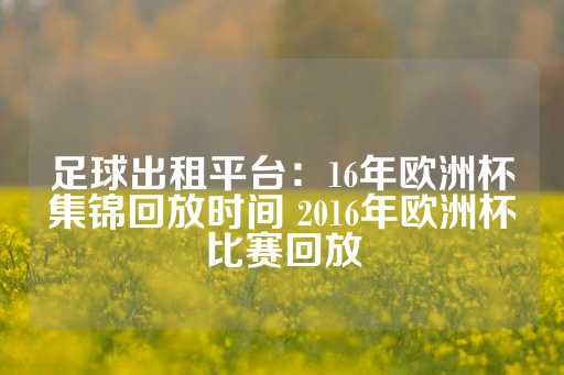 足球出租平台：16年欧洲杯集锦回放时间 2016年欧洲杯比赛回放-第1张图片-皇冠信用盘出租