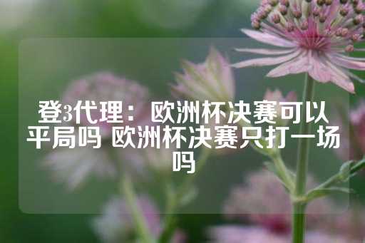 登3代理：欧洲杯决赛可以平局吗 欧洲杯决赛只打一场吗-第1张图片-皇冠信用盘出租