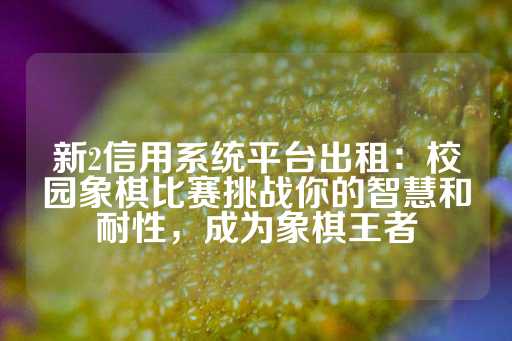 新2信用系统平台出租：校园象棋比赛挑战你的智慧和耐性，成为象棋王者