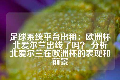 足球系统平台出租：欧洲杯北爱尔兰出线了吗？ 分析北爱尔兰在欧洲杯的表现和前景-第1张图片-皇冠信用盘出租