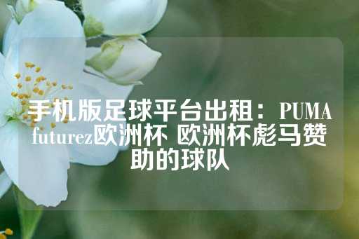 手机版足球平台出租：PUMAfuturez欧洲杯 欧洲杯彪马赞助的球队-第1张图片-皇冠信用盘出租