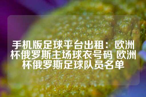 手机版足球平台出租：欧洲杯俄罗斯主场球衣号码 欧洲杯俄罗斯足球队员名单-第1张图片-皇冠信用盘出租