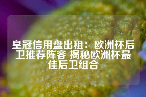 皇冠信用盘出租：欧洲杯后卫推荐阵容 揭秘欧洲杯最佳后卫组合-第1张图片-皇冠信用盘出租