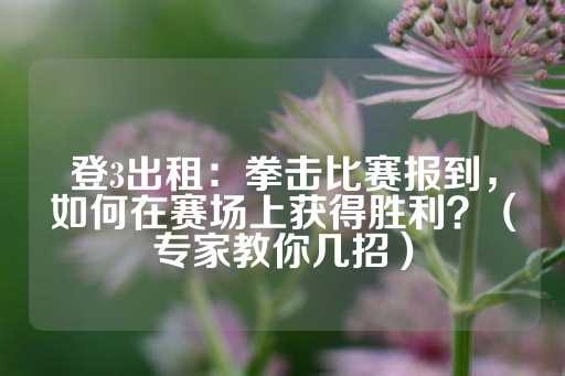 登3出租：拳击比赛报到，如何在赛场上获得胜利？（专家教你几招）