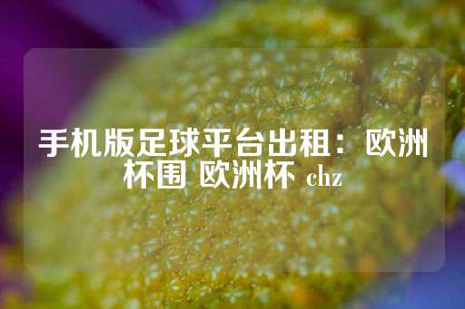 手机版足球平台出租：欧洲杯围 欧洲杯 chz-第1张图片-皇冠信用盘出租