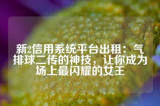 新2信用系统平台出租：气排球二传的神技，让你成为场上最闪耀的女王-第1张图片-皇冠信用盘出租