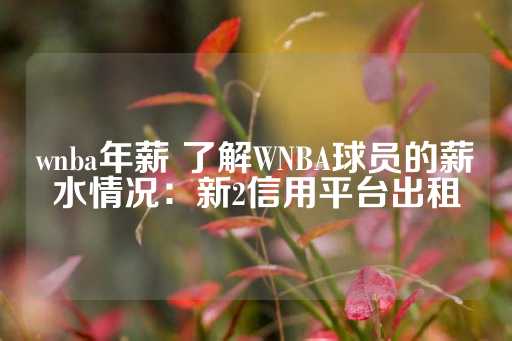 wnba年薪 了解WNBA球员的薪水情况：新2信用平台出租