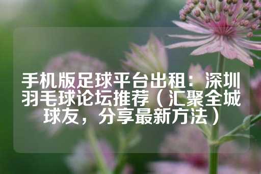 手机版足球平台出租：深圳羽毛球论坛推荐（汇聚全城球友，分享最新方法）