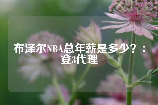 布泽尔NBA总年薪是多少？：登3代理-第1张图片-皇冠信用盘出租