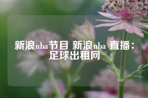 新浪nba节目 新浪nba 直播：足球出租网-第1张图片-皇冠信用盘出租