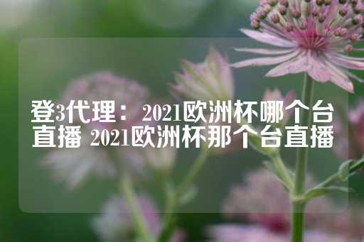 登3代理：2021欧洲杯哪个台直播 2021欧洲杯那个台直播