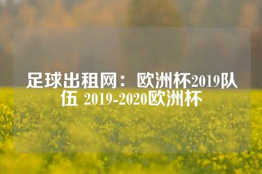 足球出租网：欧洲杯2019队伍 2019-2020欧洲杯-第1张图片-皇冠信用盘出租