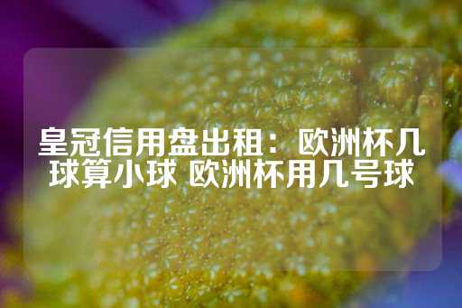 皇冠信用盘出租：欧洲杯几球算小球 欧洲杯用几号球