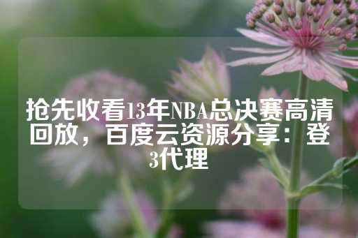 抢先收看13年NBA总决赛高清回放，百度云资源分享：登3代理-第1张图片-皇冠信用盘出租