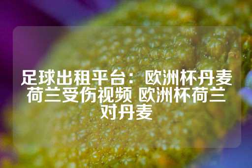 足球出租平台：欧洲杯丹麦荷兰受伤视频 欧洲杯荷兰对丹麦-第1张图片-皇冠信用盘出租