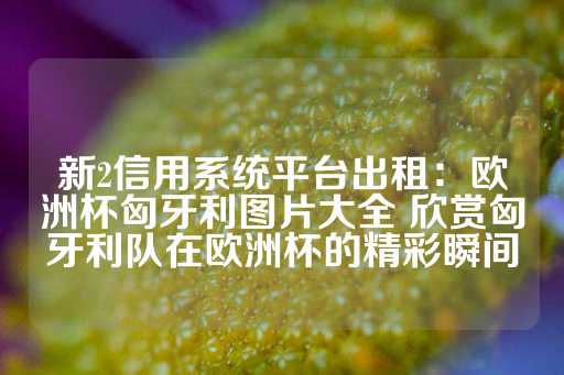 新2信用系统平台出租：欧洲杯匈牙利图片大全 欣赏匈牙利队在欧洲杯的精彩瞬间