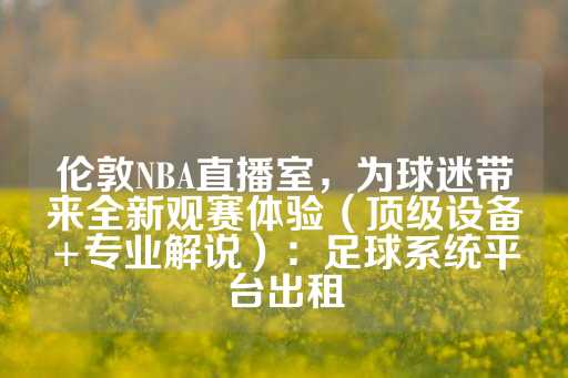 伦敦NBA直播室，为球迷带来全新观赛体验（顶级设备+专业解说）：足球系统平台出租