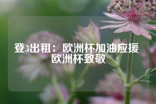 登3出租：欧洲杯加油应援 欧洲杯致敬