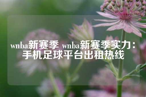 wnba新赛季 wnba新赛季实力：手机足球平台出租热线-第1张图片-皇冠信用盘出租