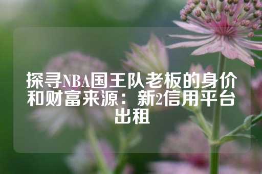 探寻NBA国王队老板的身价和财富来源：新2信用平台出租-第1张图片-皇冠信用盘出租