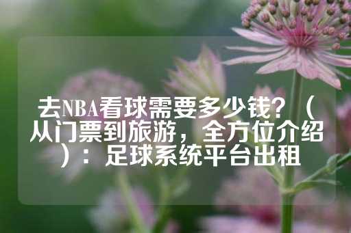 去NBA看球需要多少钱？（从门票到旅游，全方位介绍）：足球系统平台出租-第1张图片-皇冠信用盘出租