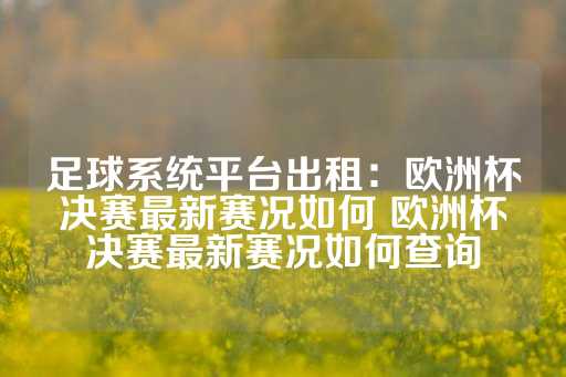 足球系统平台出租：欧洲杯决赛最新赛况如何 欧洲杯决赛最新赛况如何查询