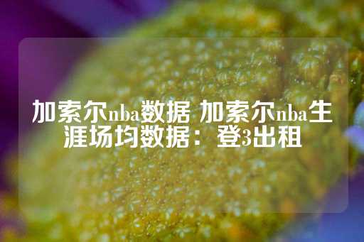 加索尔nba数据 加索尔nba生涯场均数据：登3出租-第1张图片-皇冠信用盘出租