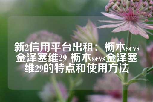 新2信用平台出租：枥木scvs金泽塞维29 枥木scvs金泽塞维29的特点和使用方法