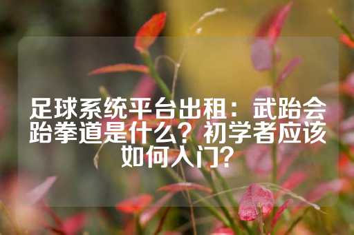 足球系统平台出租：武跆会跆拳道是什么？初学者应该如何入门？