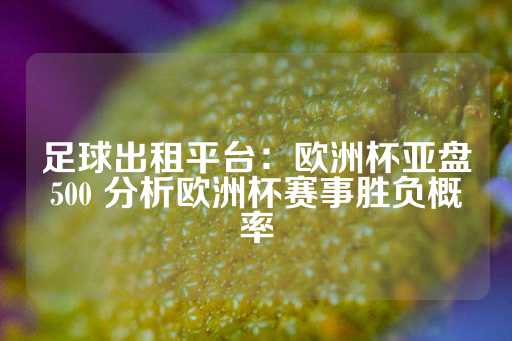 足球出租平台：欧洲杯亚盘500 分析欧洲杯赛事胜负概率