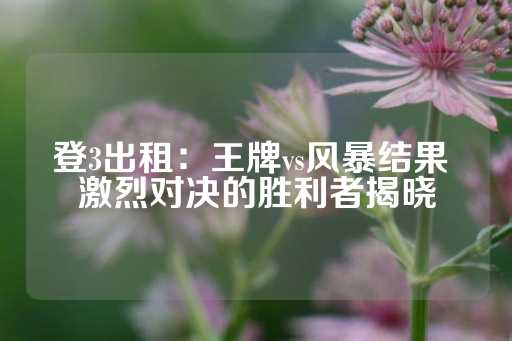 登3出租：王牌vs风暴结果 激烈对决的胜利者揭晓