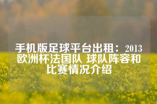 手机版足球平台出租：2013欧洲杯法国队 球队阵容和比赛情况介绍-第1张图片-皇冠信用盘出租